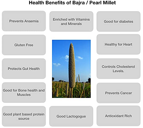 Image of Organic Bajra Grains Pearl Millet Seeds (5 Kgs) | For Farming, Sowing & Agriculture Use | Produce of India | 100% Natural & Non-GMO | By Eywa