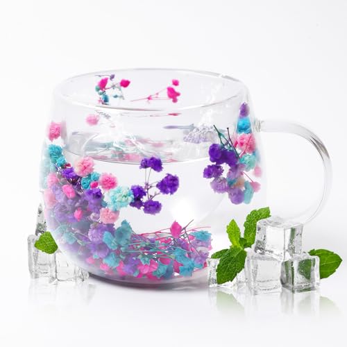 AWSOLAR Dried Flower Double Wall Glass Mugs 300ml, Double Insulated Coffee Mug with Flower Mug Gift for Women Mother Wife Teacher Friend