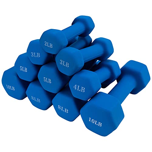 Saorzon Dumbbells Set Of 2 Exercise Fitness Dumbbell For Home Gym Free Weights Hand Hex Dumb Bells Royal Blue 4Lb #TOP5