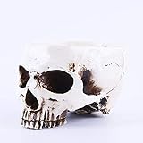 Sicherheit: umweltfreundlich, ungiftig, harmlos, gesundes Material