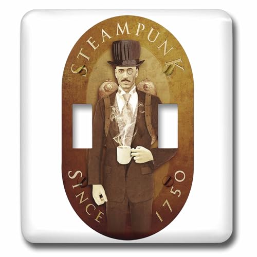 Steampunk Double interrupteur à bascule lsp_12656_2 plaque murale décorative rétro indus