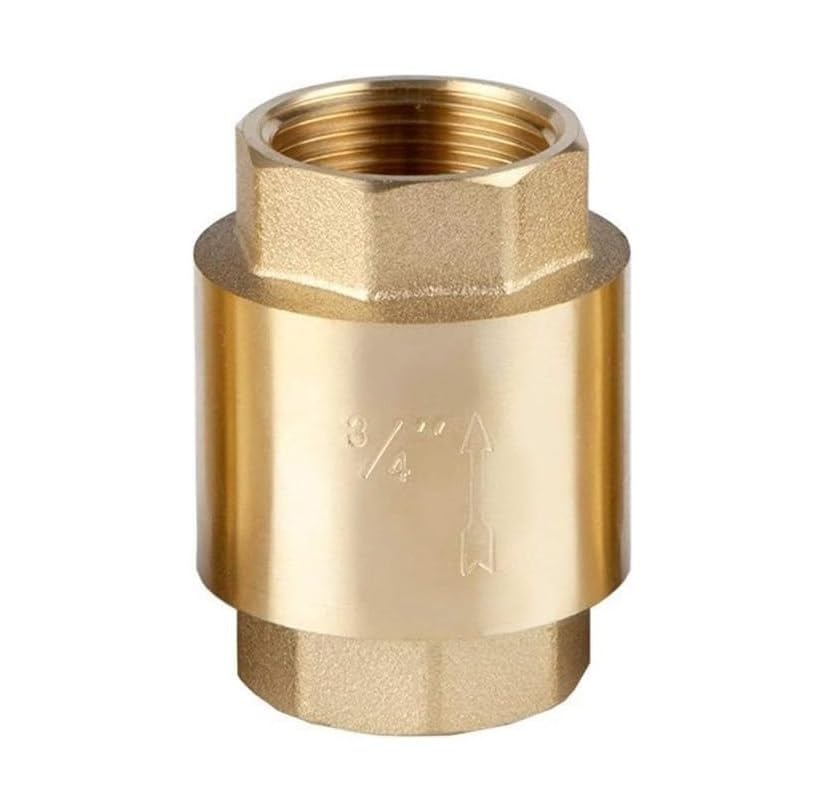 Clapet anti-retour DN25 en laiton pour stopper définitivement les reflux d'eau