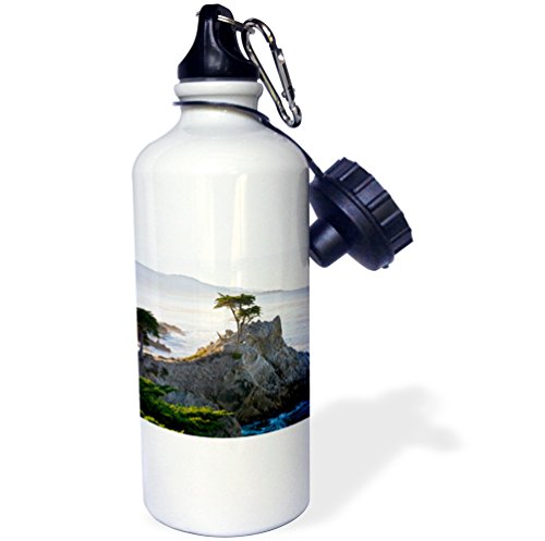 3dRose wb 88586 1"California. Carmel-by-the-Sea, Lone Cypress US05 RBE0011 Ralph H. Bendjebar" Sports