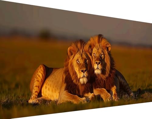 Peinture Diamant Lion 5D Broderie Diamant Kit Complet Prairie 50x100cm