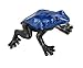 Safari Ltd. Frogs & Turtles TOOB - 12 Mini Frog and Turtle Figurines - Educational Toy Set for Boys, Girls,and Kids Ages 3+