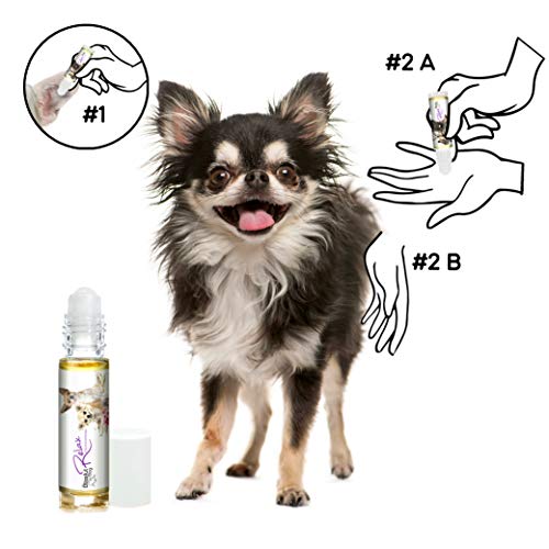 The Blissful Dog Chihuahua Relax Roll-On Aromatherapy For Dogs - Anxiety Relief For Dogs #TOP3