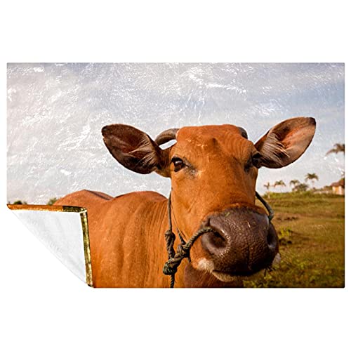 Couverture chaude imprimé vache jeté de canapé moelleux et isolant
