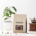 Hatch Gamma - Whole Bean - Premium Medium-Light Roast Coffee – Notes: Floral Citrus Caramel for Espresso and Filter - Guatemala & Ethiopia - 300g