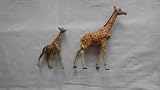  Giraffe Mit Jungtier (Lineol, Massefiguren )