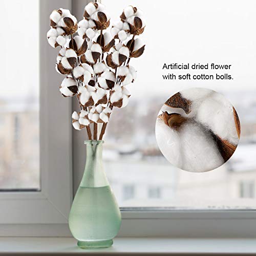 3pcs 10 Bolls Natural Cotton Dried Flower Stems miniatura 5