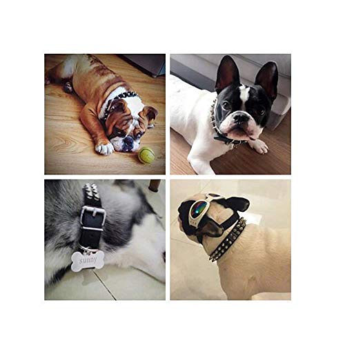 Collier pour chien grand chien en microfibre durable REYG style rock à pointes noires