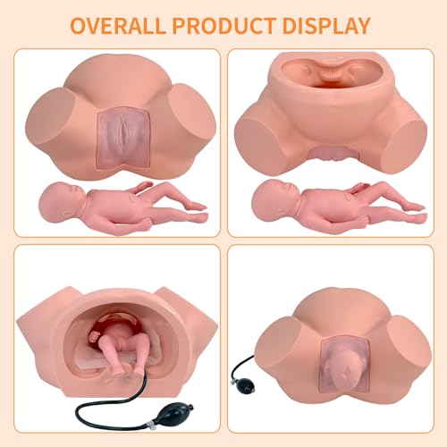 Image of Birth Midwifery Training Model Simulator, Life Size Childbirth Demonstration Obstetrics Gynecology Normal Abnormal Fetal Positions Delivery Maternity Manikin for Teaching Medical