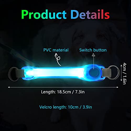flintronic LED Leuchthalsband Hunde Halsband, Leuchtend Hundehalsband, Sicherheits LED Leuchtband für Hunde Katzen, LED Licht Blinklicht mit Klettverschluss, Helle Sicherheit für Die Nacht