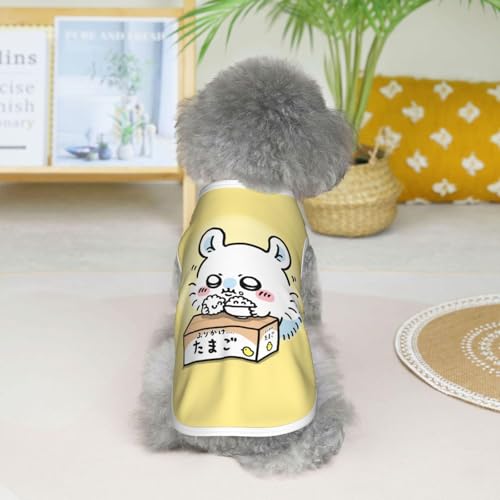 ���̕� �������� �������K �^���N�g�b�vT�V���c �y�b�g�� �y�b�g�E�F�A �t�ĕ� �h�b�O�E�F�A ������� ���킢�� �y�� �ʋC�� �L�k�� ���E�ȒP ���Ă��~�� �X�|�[�c�� �����^�� �o�|���p ���U�� �L�O�B�e �v���[���g