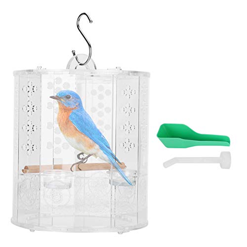 RvSky Pássaro de acrílico para casa com bandeja de pássaros para casa pet shop calopsita cacatua ara