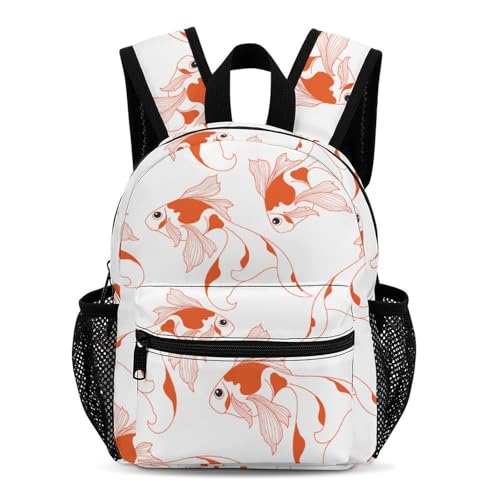 [LSTRQHQVL] bN LbY   bNTbN hZ obNpbN   y j̎q ̎q ʊw ʉ