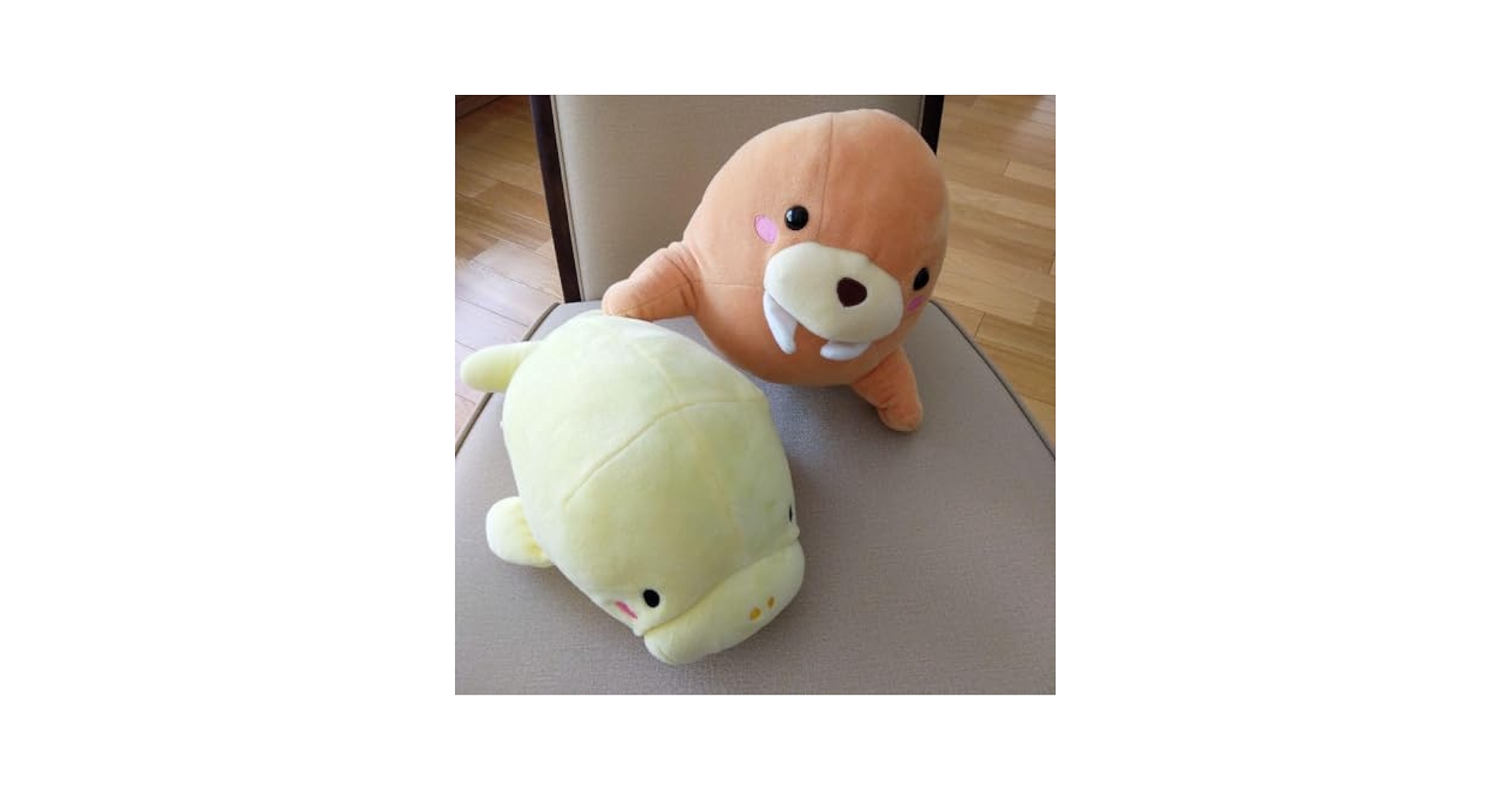 Amazon.co.jp: 鳥羽水族館 ぬいぐるみ セイウチ ジュゴン : おもちゃ