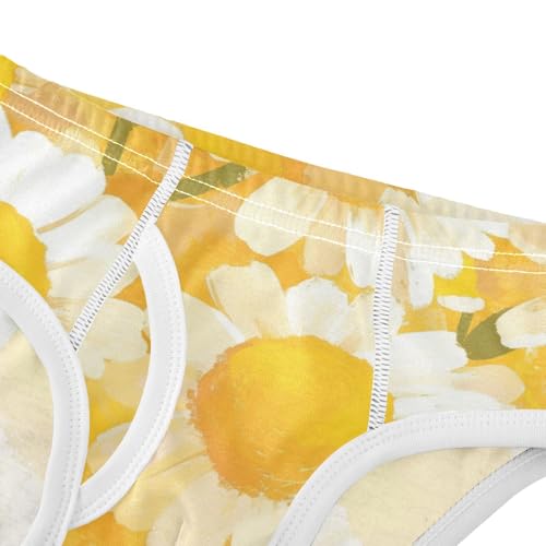 Daisy Toddler Boys Soft Kids Underwear Cute Children Panties4