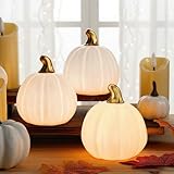 Rossesay 3 Pcs Light up Thanksgiving Pumpkin Tabletop Decor Light up Ceramic Pumpkins with Lights for Thanksgiving Fall Home Tabletop Kitchen Decor(White)