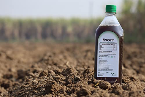 Image of LIVOX Organic 1 Litres Sugar Cane Vinegar 100% Pure Ganne Ka Sirka Made In Village Eat Natural Live Healthy.