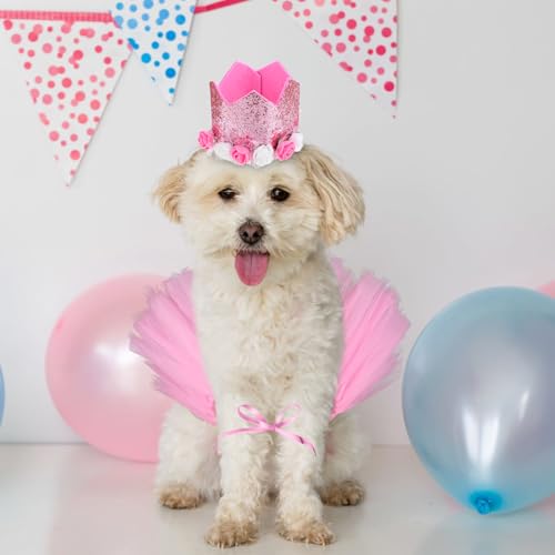 Halloween Hundekostüm Hunde Tütü Haustier Geburtstag Outfits Princessin Katze Kostüm und Mütze Tüll Rock für Kleine Haustiere Geburtstags Haustiere