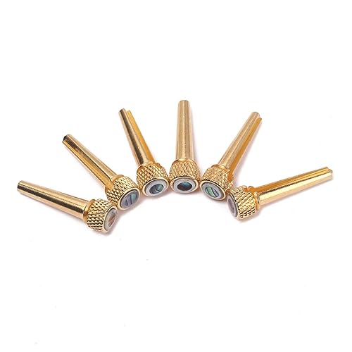 WESIEVYA 6 M^[ubWs g[s hM^[ ANZT[ x[X ^J x[X