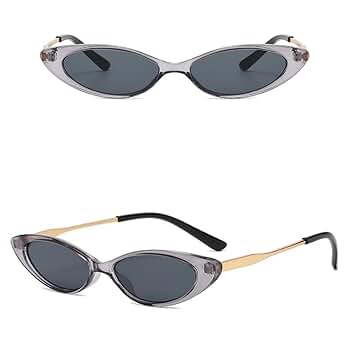 Amazon.com: HPIRME Small Cat Eye Style Women Sunglasses