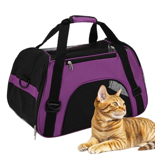 Sac de voyage pour chat multifonction pour partager chaque aventure