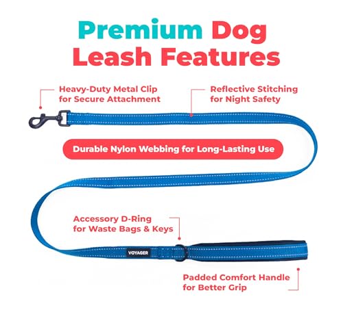 Image of Best Pet Supplies Voyager Reflective Dog Leash or Collar with Neoprene Handle, for Small, Medium, and Large Breed Puppies, Cute and Heavy Duty for Walking, Running and Training - Royal Blue (Leash), L