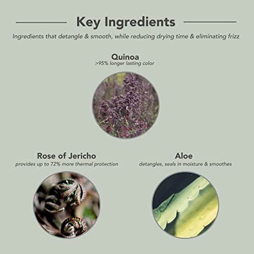 Framesi Color Lover Flash Dry Spray, 8.5 Fl Oz, Heat Protectant Spray For Hair, Blow Dry Accelerator, Quick Dry, Color Treated Hair #TOP5