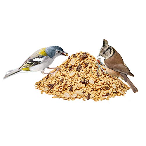 Paul´s Mühle Wildvogelfettfutter Premium Qualität 10 kg Beutel