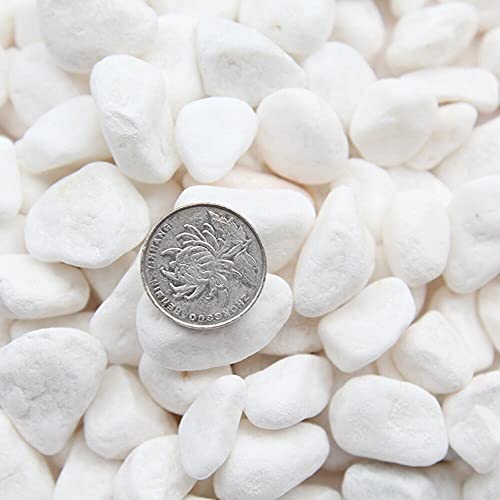 Z-DJJ Pierres Décoratives, Roches De Rivière, Galets, Gravier Poli, Sac De 2,5 Kg, Pierres Blanches Naturelles Et Polies, Différentes Tailles, Petites Pierres Décoratives, Jardin Et Aquarium,1~3cm Cover