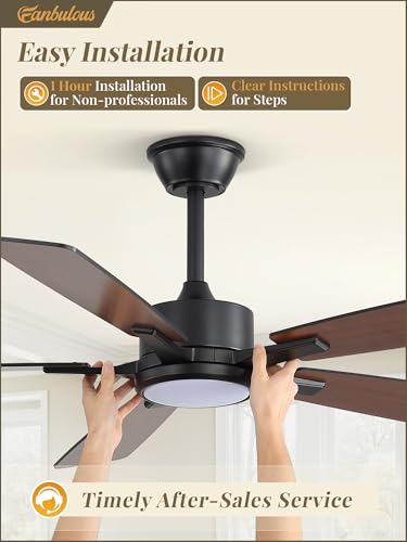 Image of Fanbulous 52 Inch Ceiling Fans with Lights and Remote, Stepless Color Temperature Change & Dimmable 20W LED Ceiling Fan, 6 Speeds Reversible Quiet DC Motor for Bedroom, Living Room, Apartment, Black