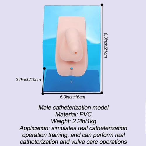 Modèle de cathétérisme urinaire AMITD avec sac pour formation médicale - 7