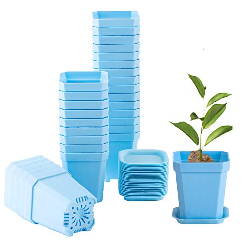 foxany Maceta para plantas de vivero de 3 pulgadas, 30 macetas cuadradas de plástico grueso, macetas para plántulas, 30 macetas de inicio de semillas con 30 platillos, color azul