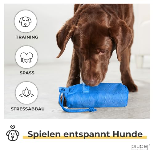 PiuPet® Futterbeutel Hunde I Befüllbarer Apportierbeutel für Hunde I Futterdummy Hundetraining I Futterbeutel Hundetraining I Futterbeutel Hundetraining klein (Blau)