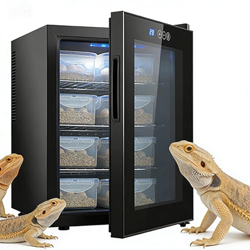 Incubateur d'œufs de reptiles à température constante avec poignée invisible