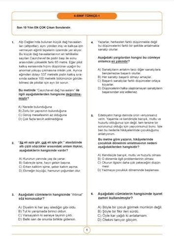 2026 6. Sınıf Bursluluk Sınav Seti (6 Fasikül Kitap) - Görsel 2