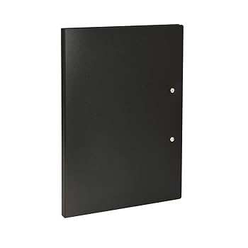 Amazon | ナカバヤシ ダブルストッパーファイル A4S/レバー