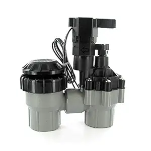 Rain Bird 100-ASVF 1