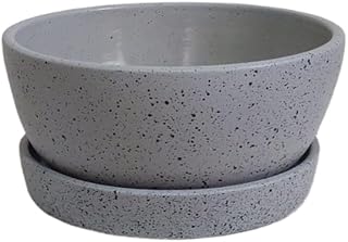 Decorative pots Grey terrazzo with plate - for Office decoration & Home decor - indoor plants natural - natural cactus plants & succulents plants - Clay pot (25 cm)