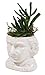 The Unemployed Philosophers Guild Albert Einstein Bust Ceramic Planter