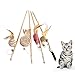 Kisangel 4pcs Interactive Cat Teaser Wand Bell and Mouse Feathered Training Stick for Playful Kittens Random Styles to Engage and Exercise Cats