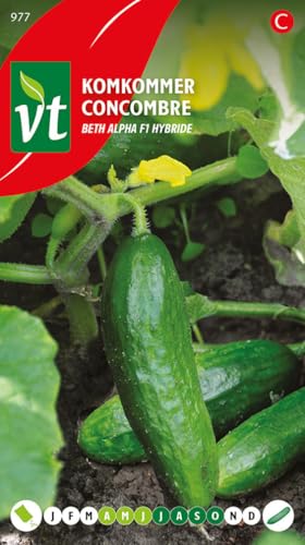 Concombre Beth Alpha F1 hybride Graines - Un savoureux mini-concombre