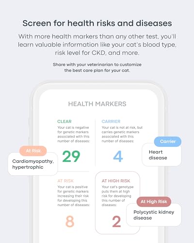 Basepaws Cat DNA Test Kit - Comprehensive Breed, Health and Dental Analysis Across 114 Traits for Accurate and Easy-to-Use Genetic Insights (Cat Whole Genome Sequencing, Basic) - Thumbnail 2