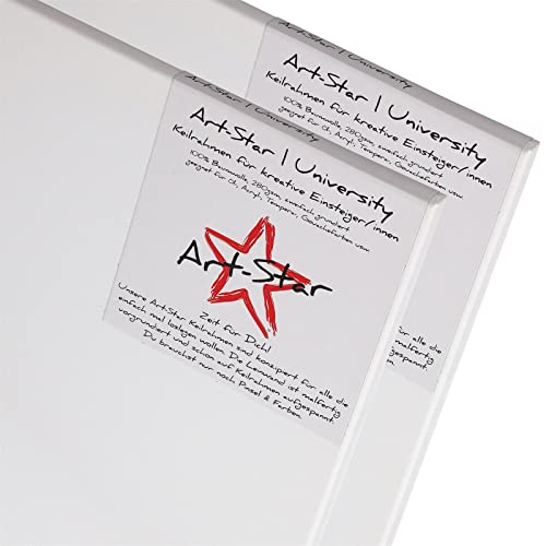 Star 2X Chassis ENTOILÉ Art UNIVERSITÉ 60x80cm | Toiles sur châssis 60x80 cm | Toile préimprégnée, prêts à Peindre, châssis avec Toile