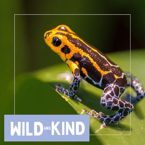 The Mimic Poison Frog