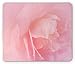 Price comparison product image (Precision seamed) Pale Pink Mouse Pad, Close Up Rose Petal Flourishing Macro Bloom Wedding Inspired Love Fragrance Image, Standard Size Rectangle Non-Slip Rubber Mousepad, Coral