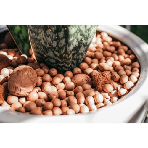 Argila Expandida 2215 Embalagem De 10kg/ 25 Litros- Cinexpan