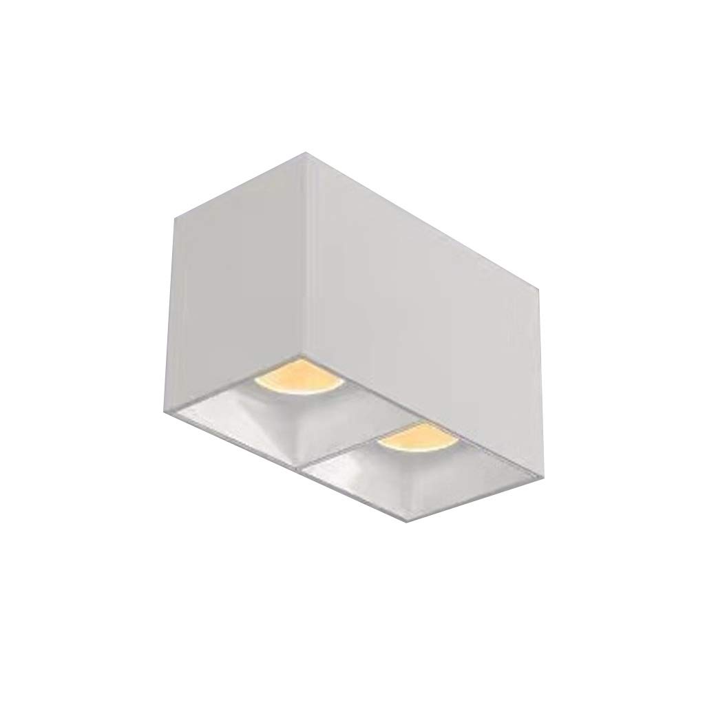 HynJGih LED Spotlight Wall-Mounted Downlight Ceiling Lamp Living Room Wall Ceiling Corridor Aisle Lights(White Natural Light,L-24w)